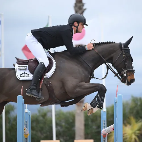 3. Platz Silver Tour GP 145LR Beddizzole