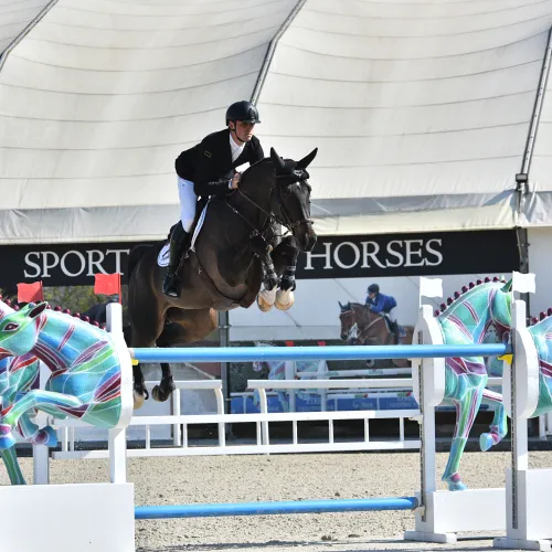 Platz 9 für Diamant im 3* 155 GP in Busto Arsizio